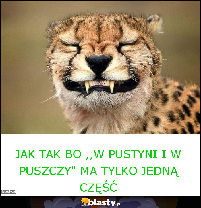Jak tak bo ,,W pustyni i w puszczy