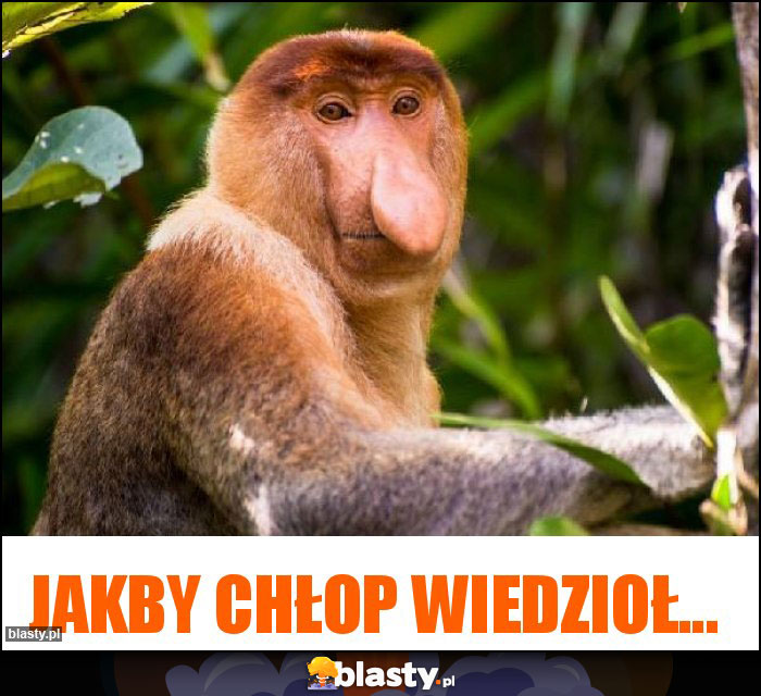 JAKBY CHŁOP WIEDZIOŁ... JAKBY CHŁOP WIEDZIOŁ...