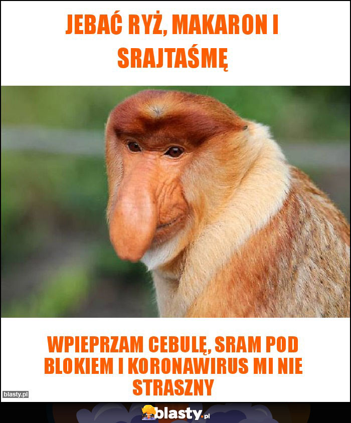 Jebać ryż, makaron i srajtaśmę