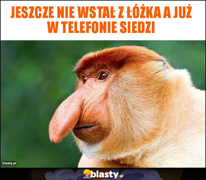 Jeszcze nie wstał z łóżka a już w telefonie siedzi Jeszcze nie wstał z łóżka a już w telefonie siedzi