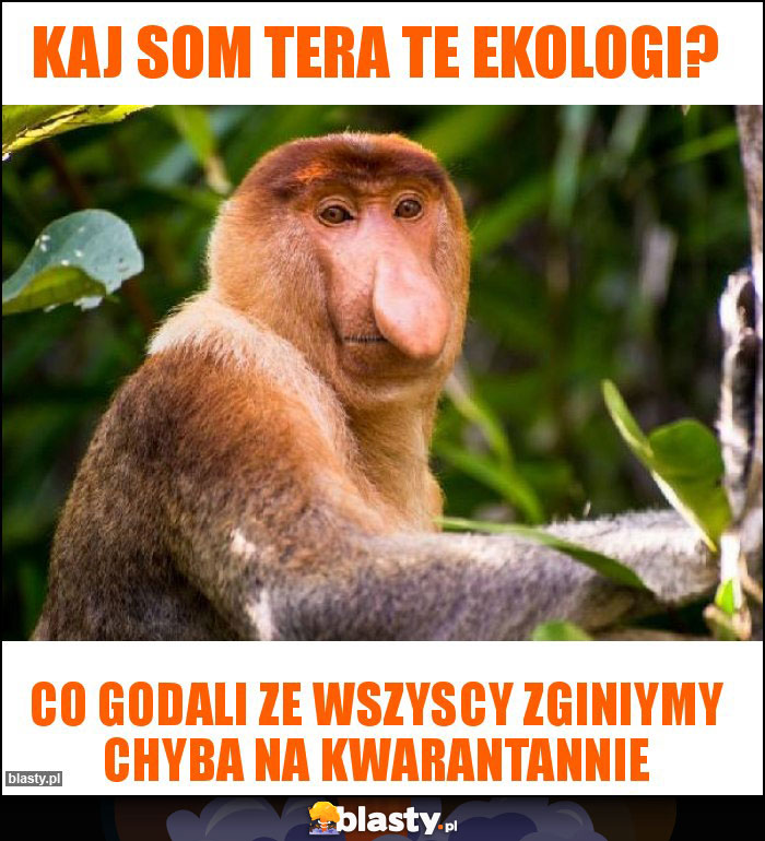 Kaj som tera te ekologi? Kaj som tera te ekologi?