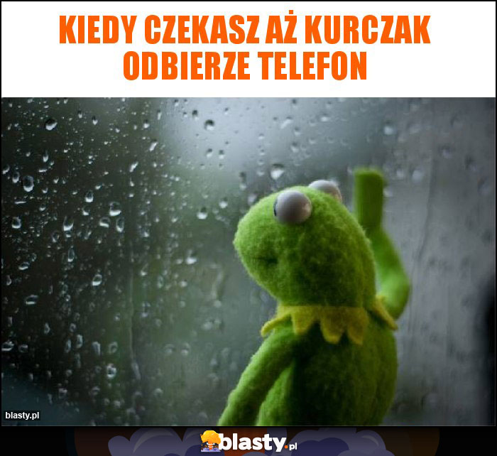 Kiedy czekasz aż kurczak odbierze telefon Kiedy czekasz aż kurczak odbierze telefon
