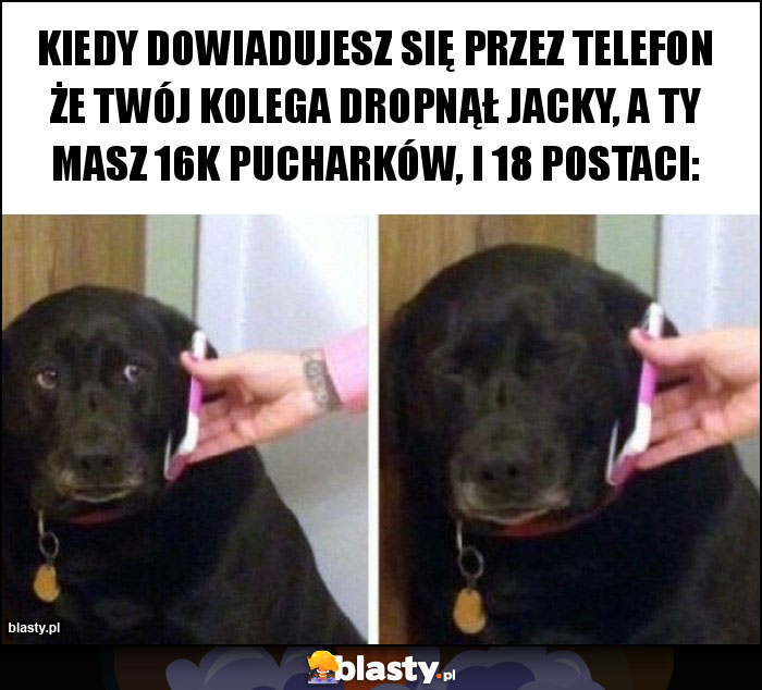 Kiedy dowiadujesz się przez telefon że twój kolega dropnął jacky, a ty masz 16k pucharków, i 18 postaci: Kiedy dowiadujesz się przez telefon że twój kolega dropnął jacky, a ty masz 16k pucharków, i 18 postaci: