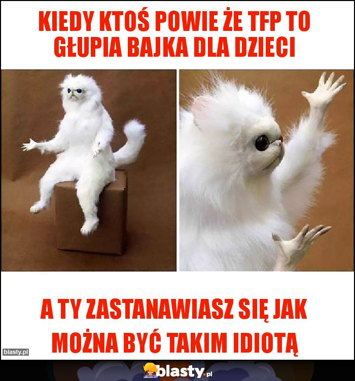 Kiedy ktoś powie że TFP to głupia bajka dla dzieci Kiedy ktoś powie że TFP to głupia bajka dla dzieci