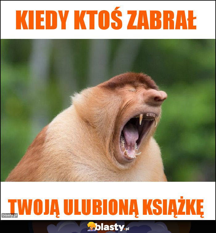 Kiedy ktoś zabrał Kiedy ktoś zabrał