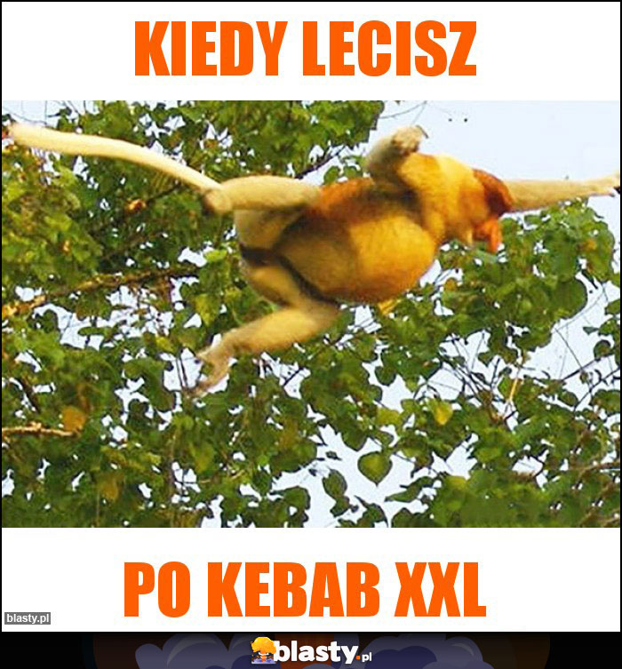 Kiedy lecisz Kiedy lecisz
