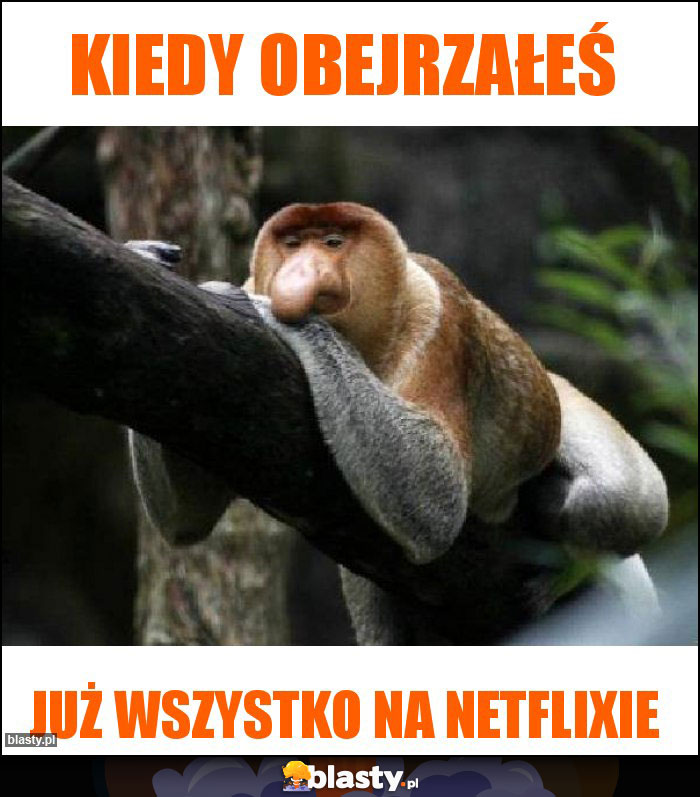 Kiedy obejrzałeś