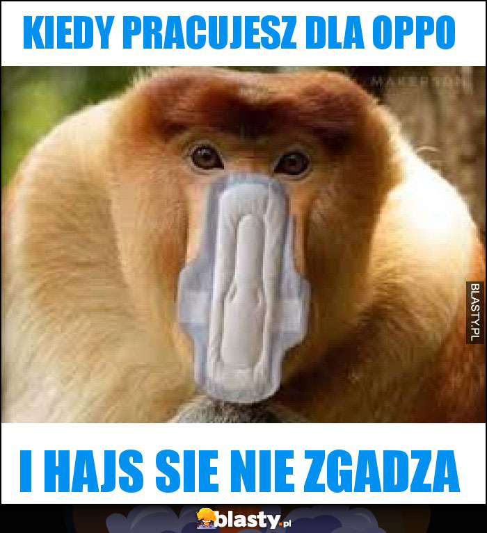 kiedy pracujesz dla oppo kiedy pracujesz dla oppo