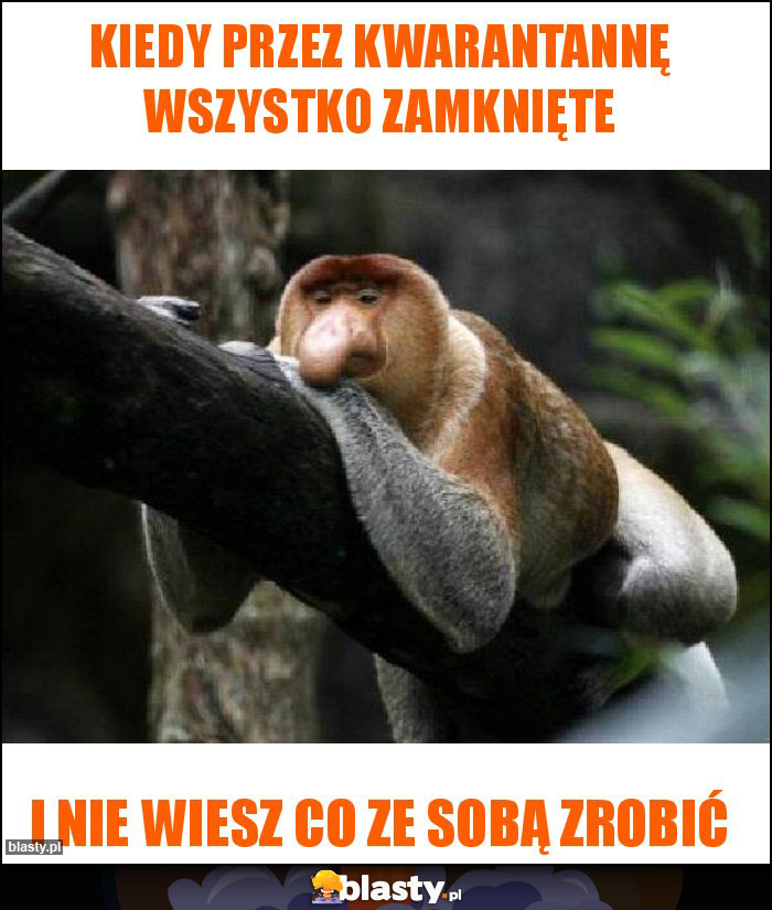 Kiedy przez kwarantannę wszystko zamknięte