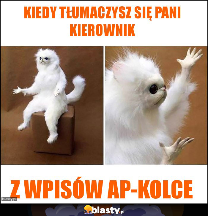 Kiedy tłumaczysz się pani kierownik Kiedy tłumaczysz się pani kierownik