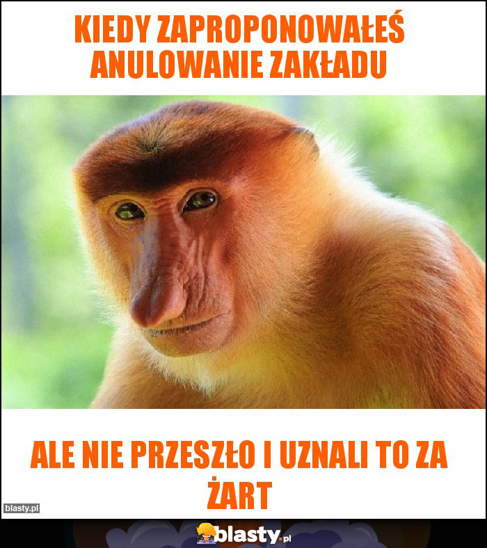 Kiedy zaproponowałeś anulowanie zakładu Kiedy zaproponowałeś anulowanie zakładu