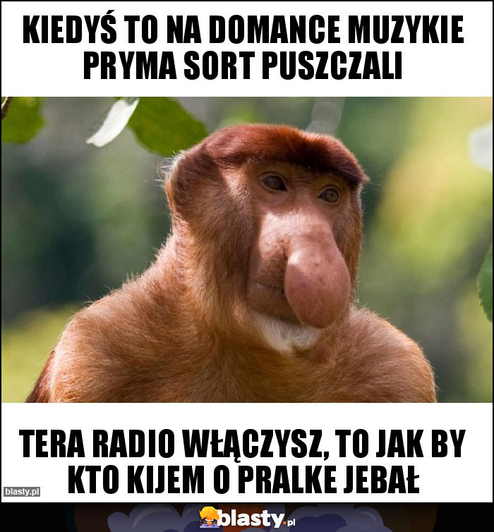 Kiedyś to na domance muzykie pryma sort puszczali Kiedyś to na domance muzykie pryma sort puszczali