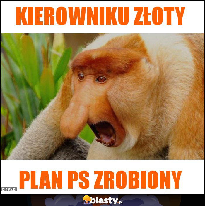 KIEROWNIKU ZŁOTY KIEROWNIKU ZŁOTY