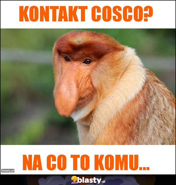 Kontakt Cosco?