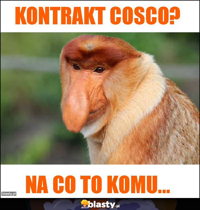 Kontrakt Cosco? Kontrakt Cosco?