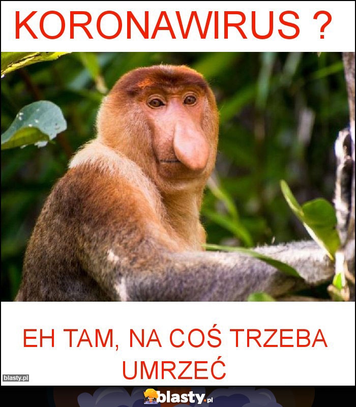 Koronawirus ? Koronawirus ?