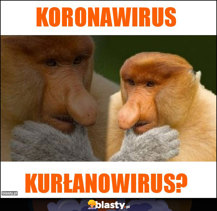 koronawirus koronawirus