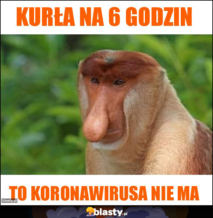 Kurła na 6 godzin Kurła na 6 godzin