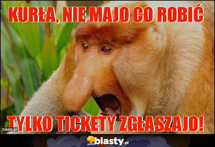 KURŁA, NIE MAJO CO ROBIĆ KURŁA, NIE MAJO CO ROBIĆ