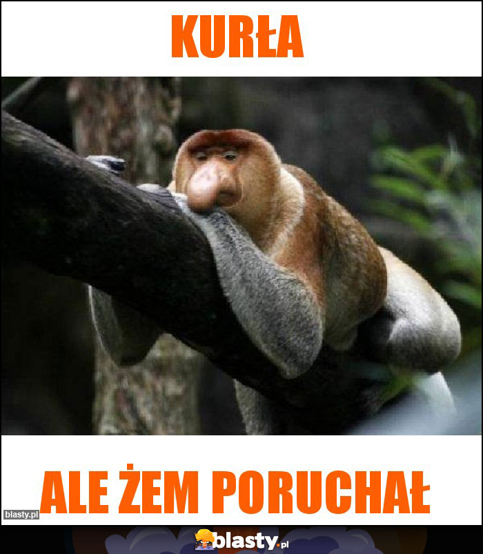 Kurła