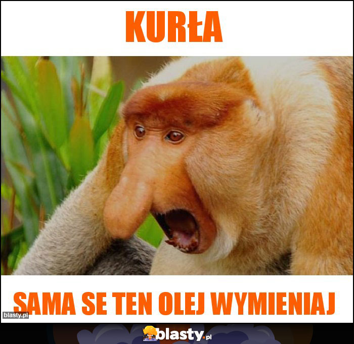 Kurła