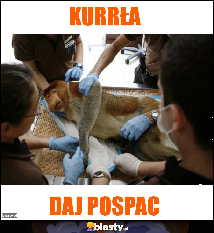 Kurrła