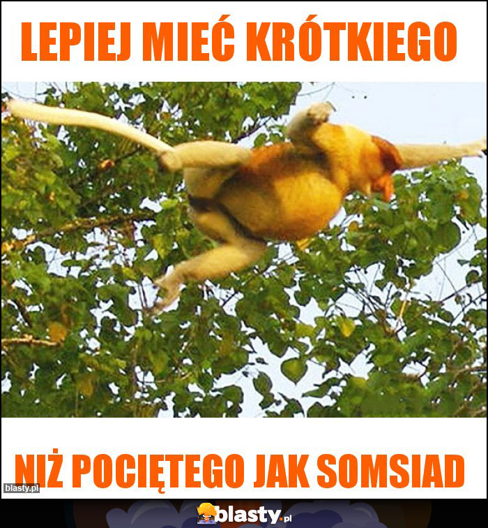 Lepiej mieć krótkiego Lepiej mieć krótkiego
