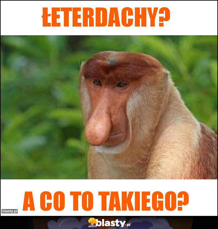 ŁETERDACHY? ŁETERDACHY?