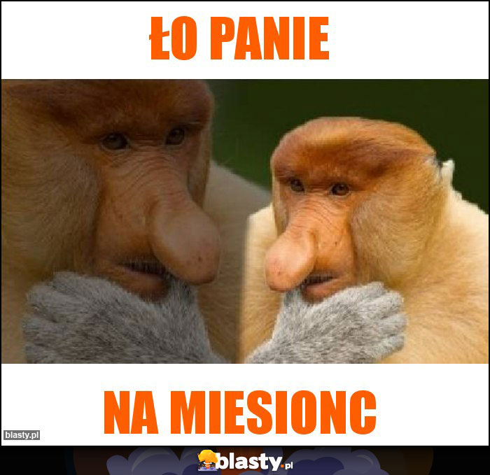 Ło panie