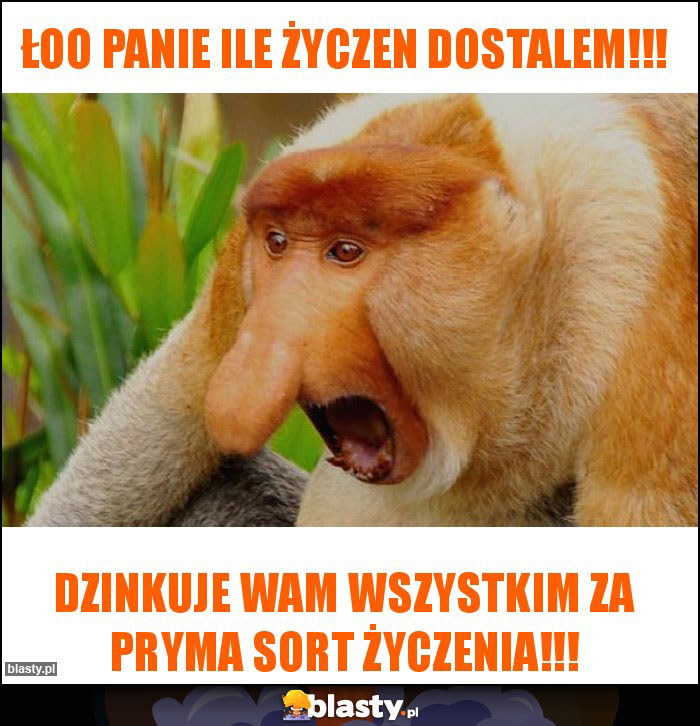 ŁOO PANIE ILE ŻYCZEN DOSTALEM!!! ŁOO PANIE ILE ŻYCZEN DOSTALEM!!!