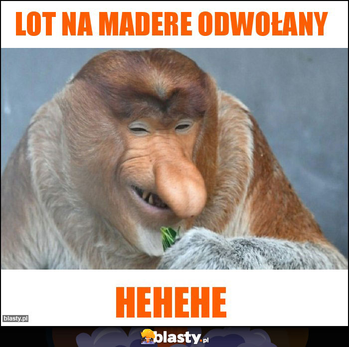 Lot na Madere odwołany Lot na Madere odwołany