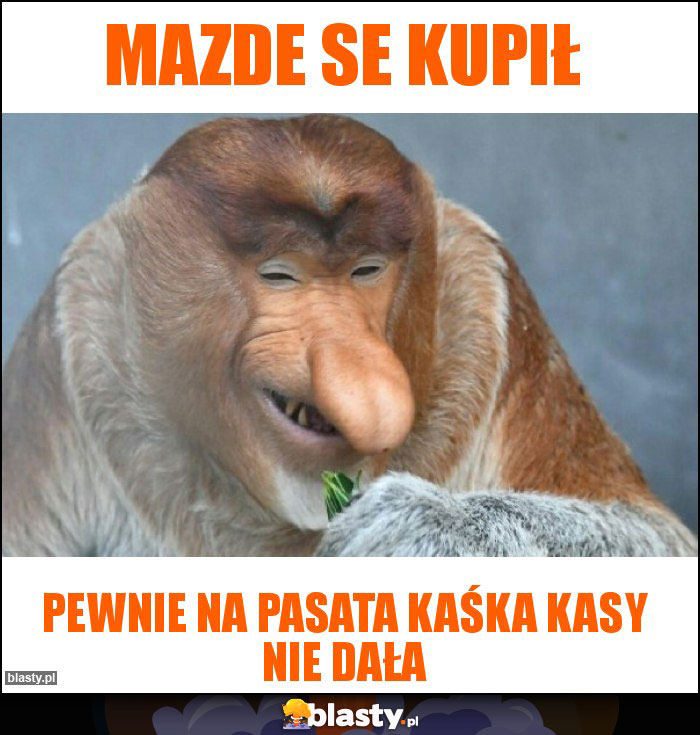 Mazde se kupił Mazde se kupił