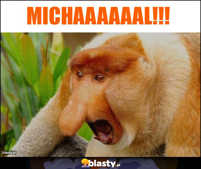 Michaaaaaal!!! Michaaaaaal!!!