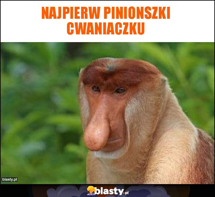 najpierw pinionszki cwaniaczku najpierw pinionszki cwaniaczku