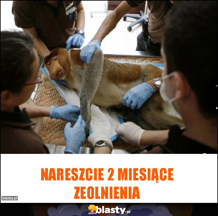 Nareszcie 2 miesiące zeolnienia