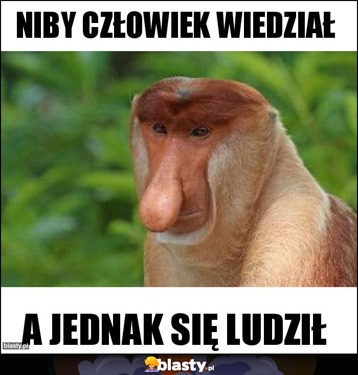 Niby człowiek wiedział Niby człowiek wiedział