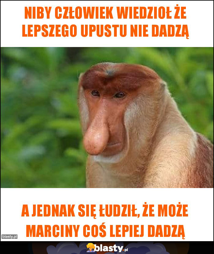 Niby człowiek wiedzioł że lepszego upustu nie dadzą Niby człowiek wiedzioł że lepszego upustu nie dadzą