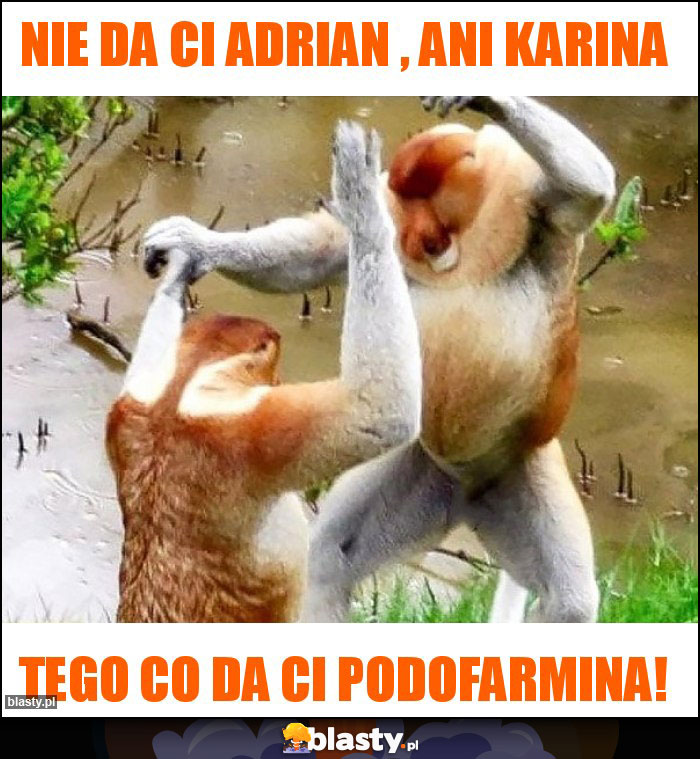 Nie da Ci Adrian , ani Karina Nie da Ci Adrian , ani Karina