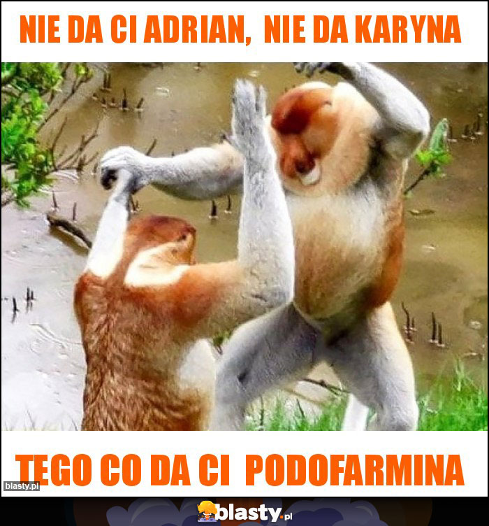 Nie da Ci Adrian, Nie da Karyna Nie da Ci Adrian, Nie da Karyna