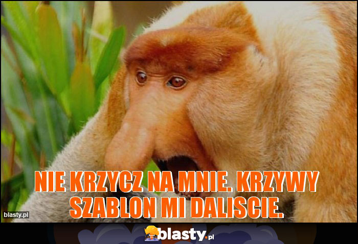 Nie krzycz na mnie. Krzywy szablon mi daliscie. Nie krzycz na mnie. Krzywy szablon mi daliscie.