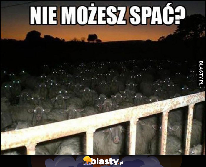 Nie możesz spać mnóstwo owiec w zagrodzie patrzy