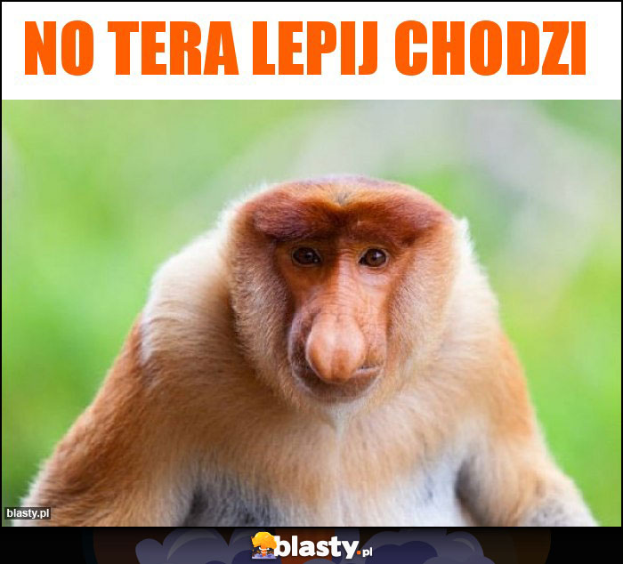 No tera lepij chodzi No tera lepij chodzi