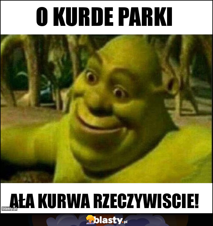 O kurde PARKI O kurde PARKI
