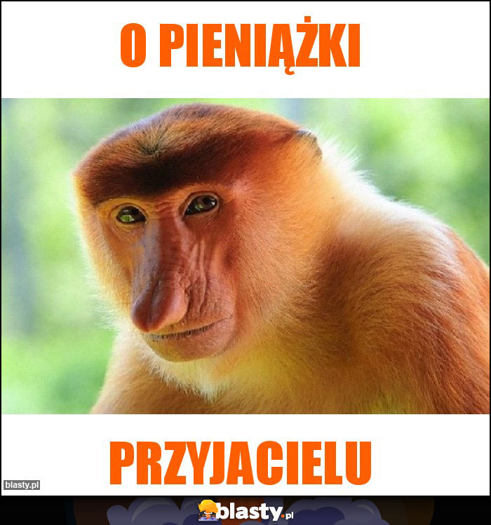 O pieniążki O pieniążki