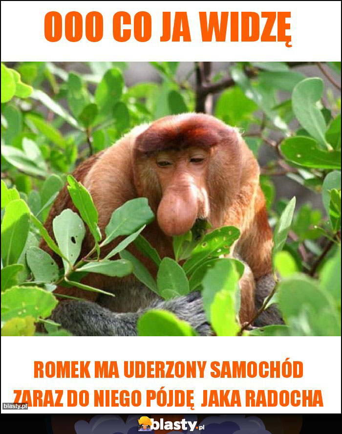 OOO CO JA WIDZĘ OOO CO JA WIDZĘ