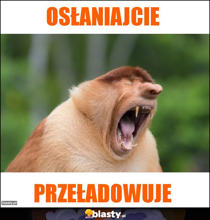 OSŁANIAJCIE