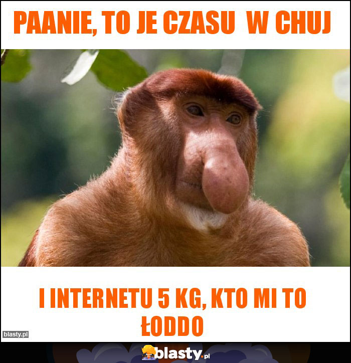 Paanie, to je czasu  w chuj