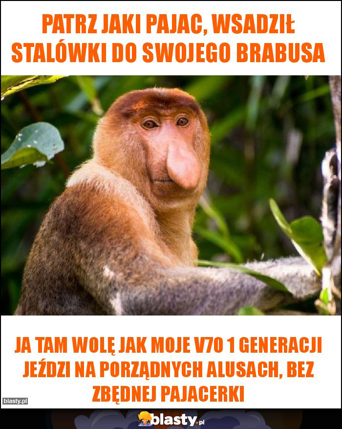 Patrz jaki pajac, wsadził stalówki do swojego brabusa Patrz jaki pajac, wsadził stalówki do swojego brabusa