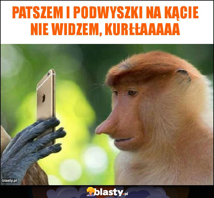 PatSZem i podwySZki na kĄcie nie widzem, kurłłaaaaa PatSZem i podwySZki na kĄcie nie widzem, kurłłaaaaa