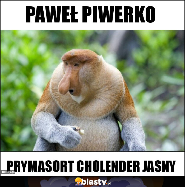 Paweł piwerko Paweł piwerko